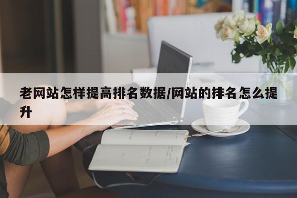 老网站怎样提高排名数据/网站的排名怎么提升